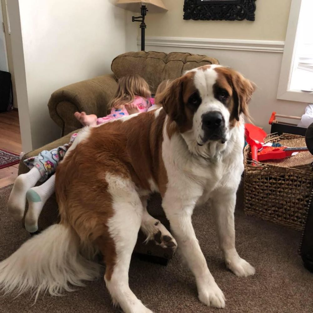 Meet your Posher, Janice